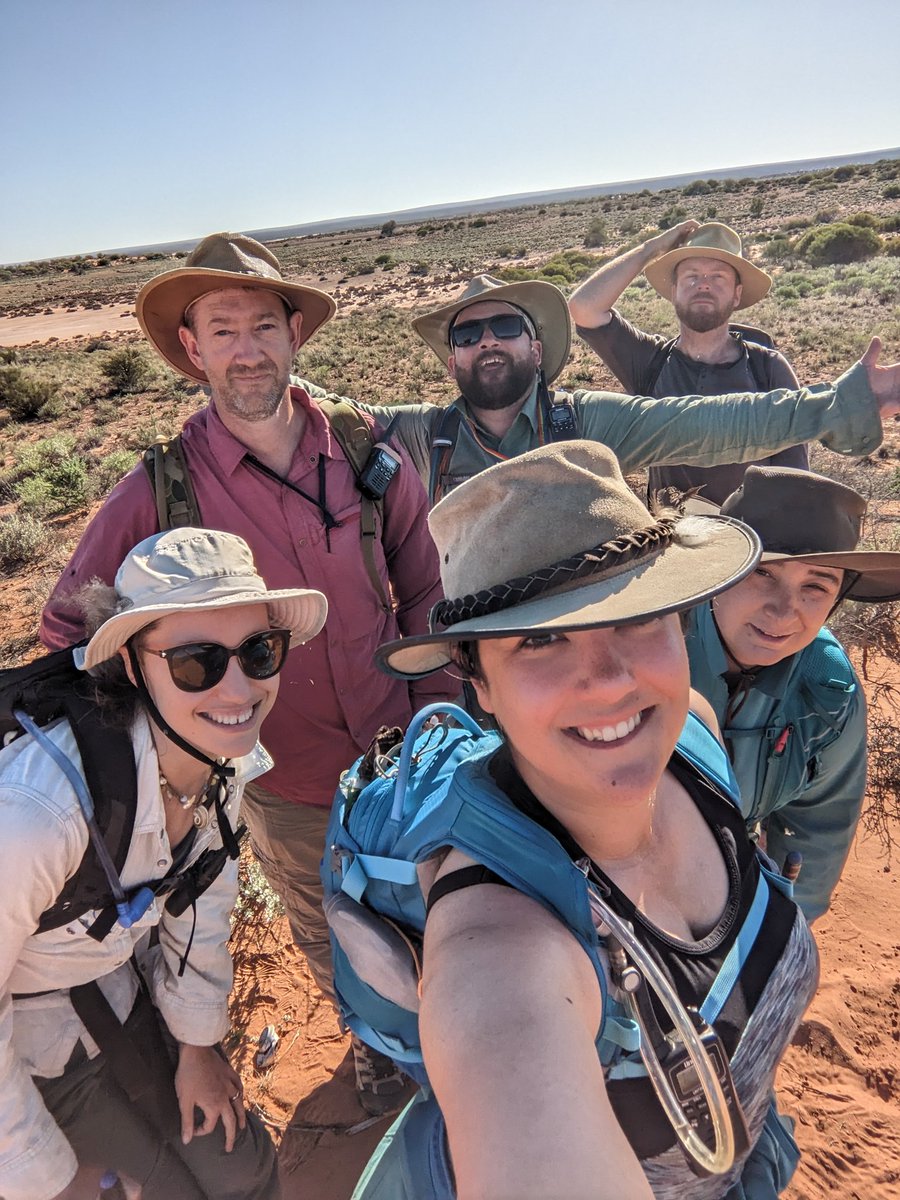 Dr Natasha Stephen tweet media