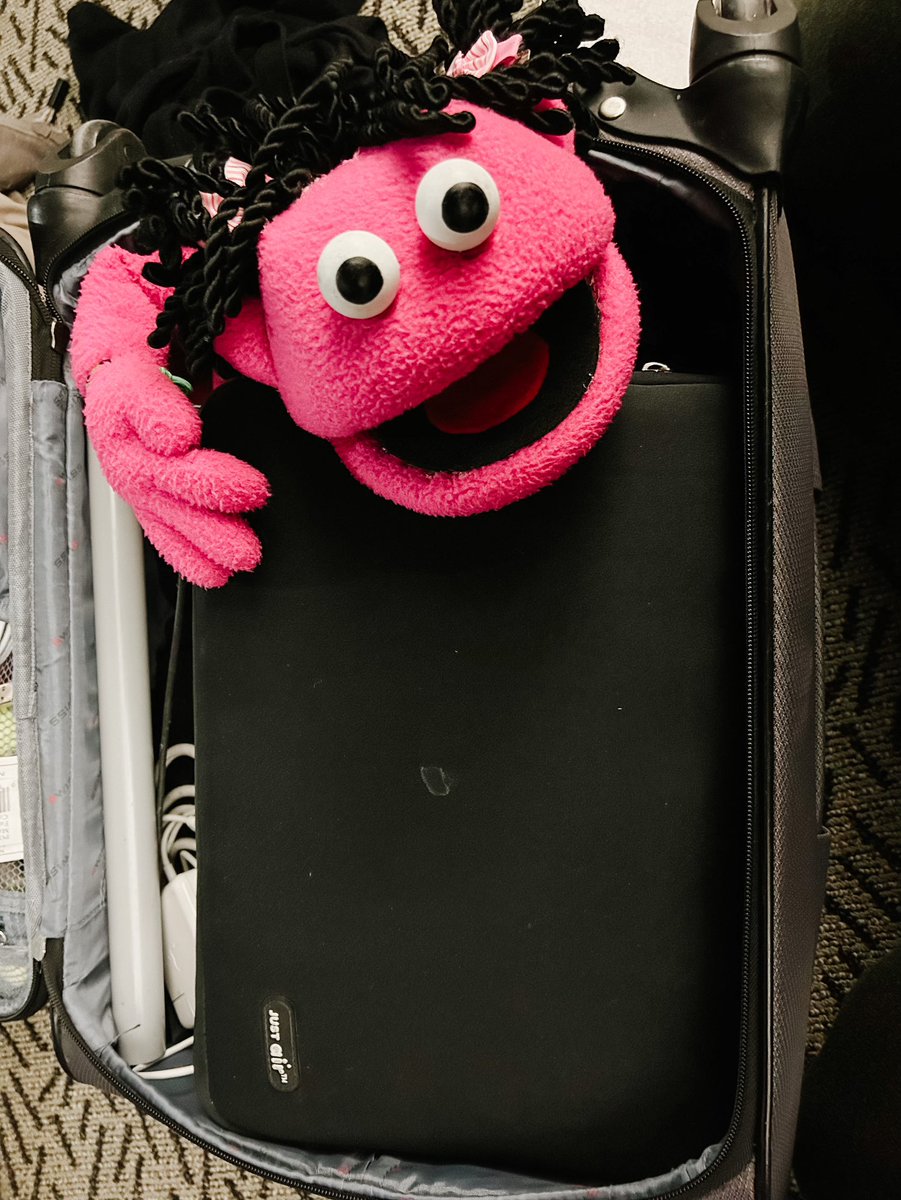 rtapuppets's tweet image. What’s in your carry on? #NotFirstClass