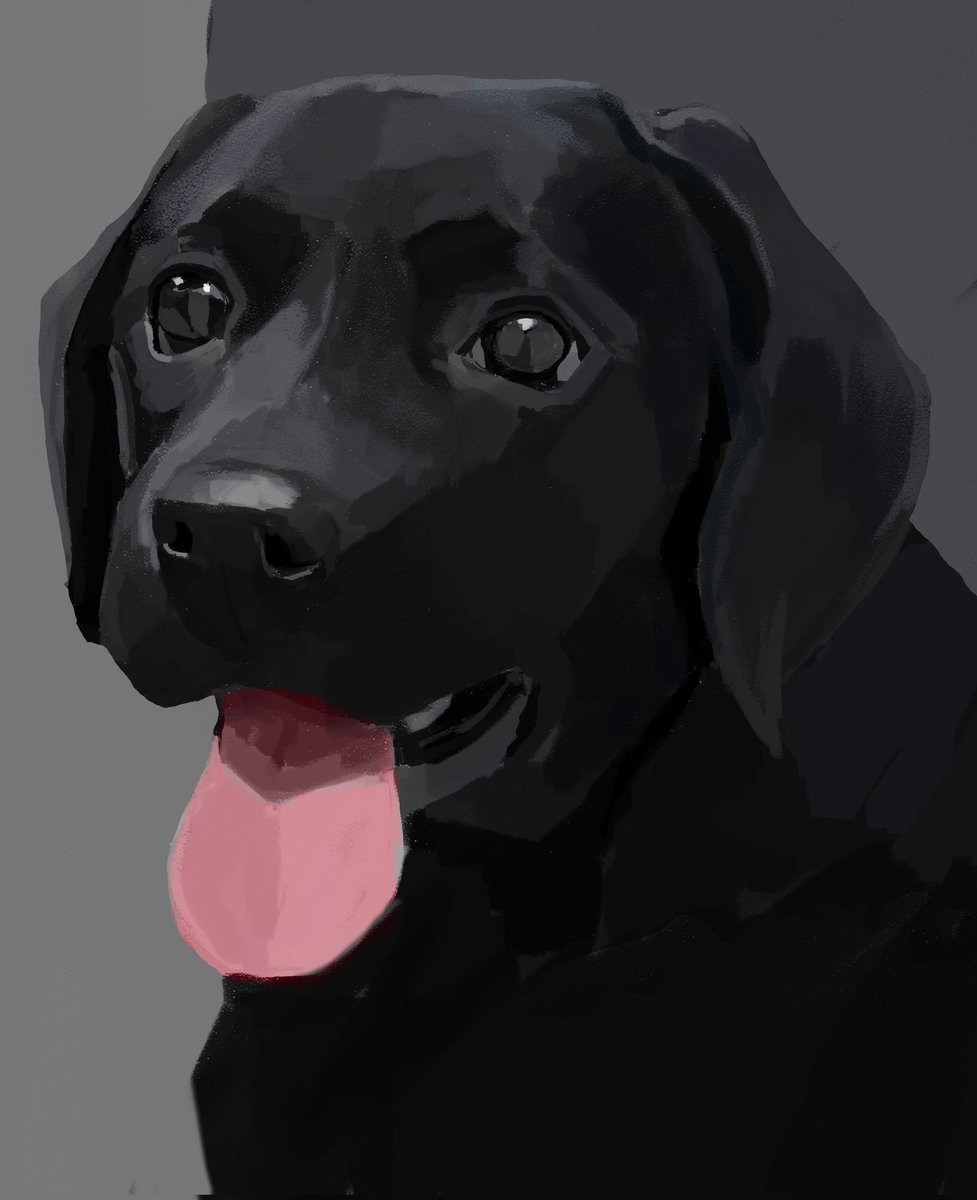 Juniordooble22's tweet photo. Keep Your Furry Friend's Memory Alive with Personalized Art
I specialize in creating custom portraits of beloved pets, particularly those who have passed away. #petportrait #petartist #animallovers #petsforever #petmemorial #petloss #petgrief #petbereavement #petsarefamil https://t.co/stAQaiPwsN