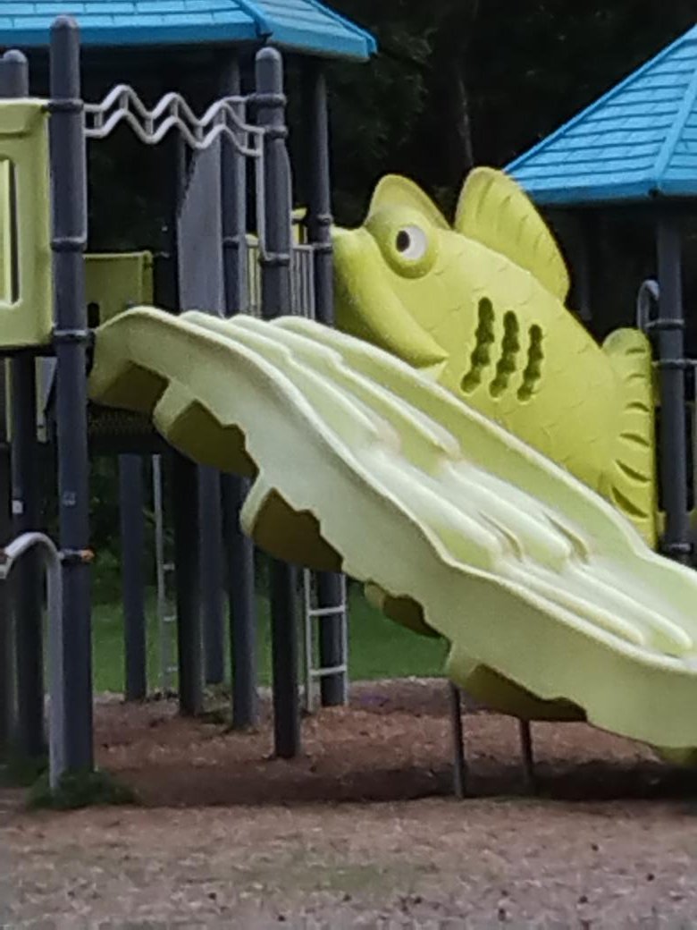 MARLA COWART tweet media