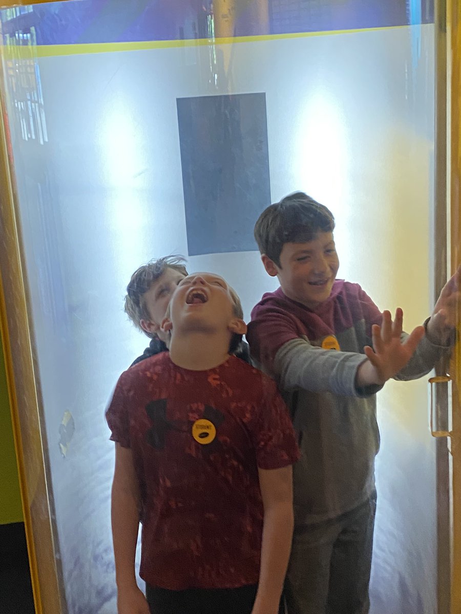 Mrs. Hale tweet media