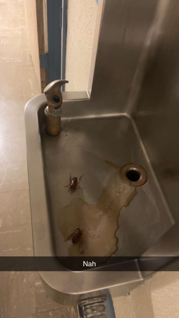 mikeswelsh's tweet photo. @penn_state This is what my daughter sent me. Please tell me this isn’t normal and you’re fixing. So gross. #keepmoving https://t.co/1oawVOti4b
