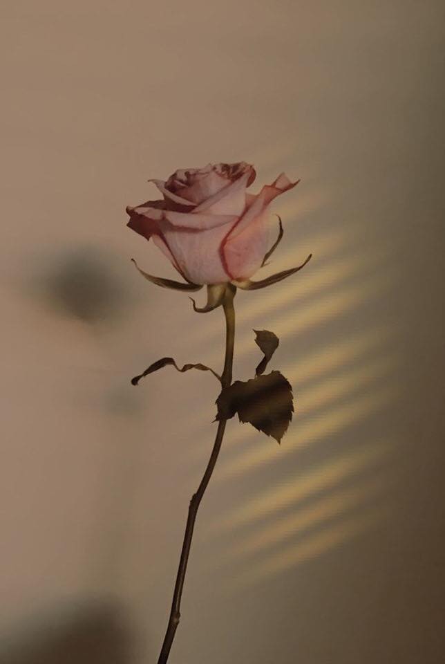 When angry.. Don't reply to anyone's message just yet.
When you're happy.. don't make a promise.
When in deep sadness.. don't decide