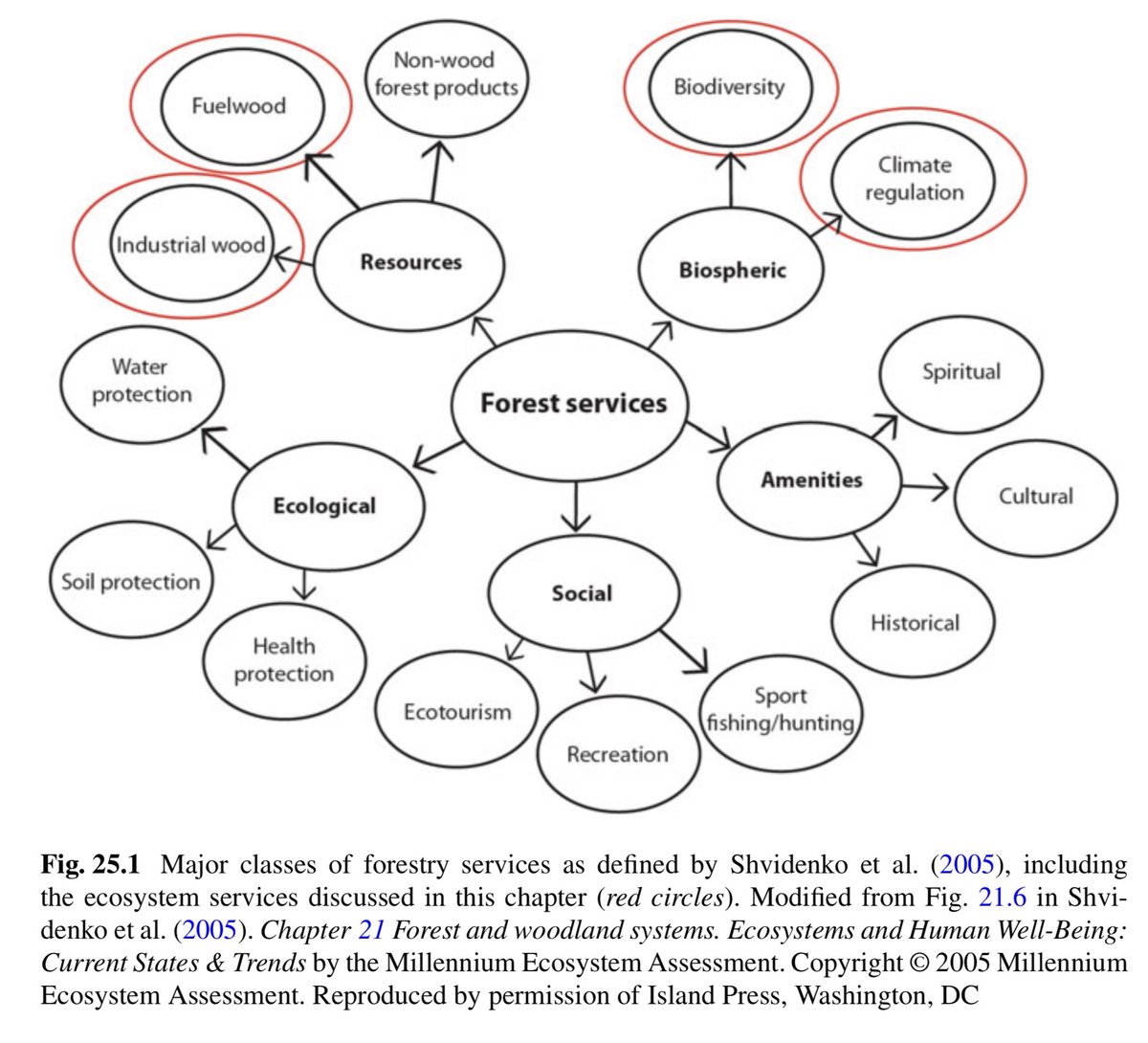 The response, or lack thereof, of forest managers to #ClimateChange has broad ramifications! 😯

Chap. 25 discusses management scenarios for a range of ecosystem services provided by boreal forests

link.springer.com/chapter/10.100…
✏️ Anouschka R. Hof &amp; Matthew J. Duveneck