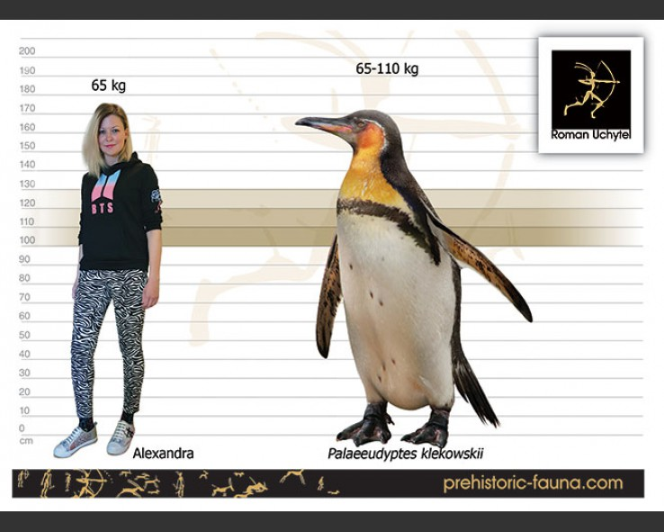 oficialstarfish's tweet photo. Alexandra compared to Palaeeudyptes #bts https://t.co/qJvrds9yzJ