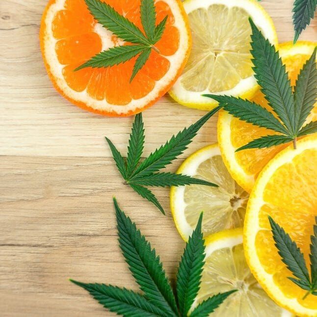 ThreeWellsUS's tweet photo. With #cannabis, #terpenes not only affect the strain’s taste and smell but they also strongly impact the strain’s medicinal properties. As a result, certain terpenes may work better in supporting and helping specific medical conditions. https://t.co/zYiQZgH5dp https://t.co/pUS7UD6jls