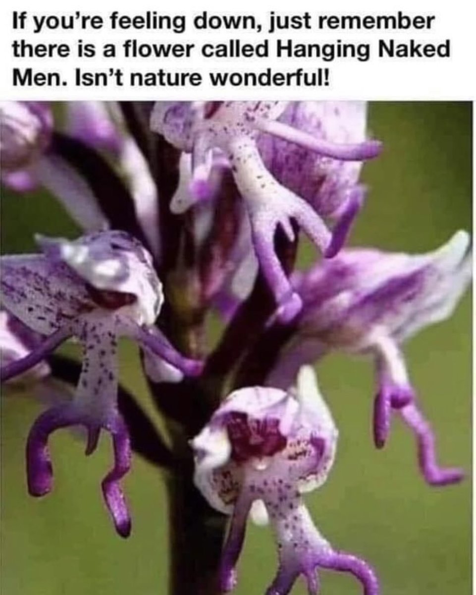 BOOOY those flowers would’ve been jealous <a href="/GrlwTheAplTat2/">Heather Siani</a>