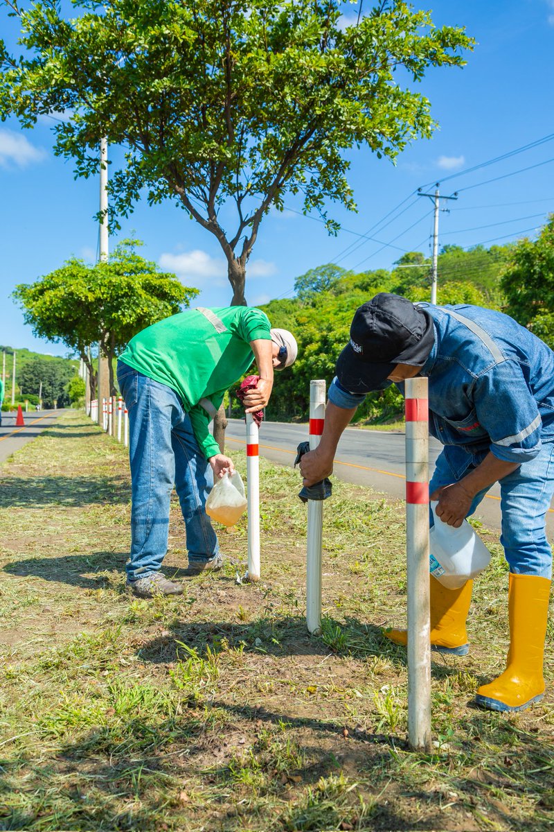 ManabiV's tweet photo. Nuestras cuadrillas realizaron hoy, trabajos de limpieza de balizas, espaldones y adecentamiento del parterre central de la vía concesionada, a partir del Km. 7 en los dos sentidos: Manta-Portoviejo.

¡Trabajamos por su seguridad
Vial!

@Leoorlandoa 
@PrefecturManabi https://t.co/5VV2m98RIc