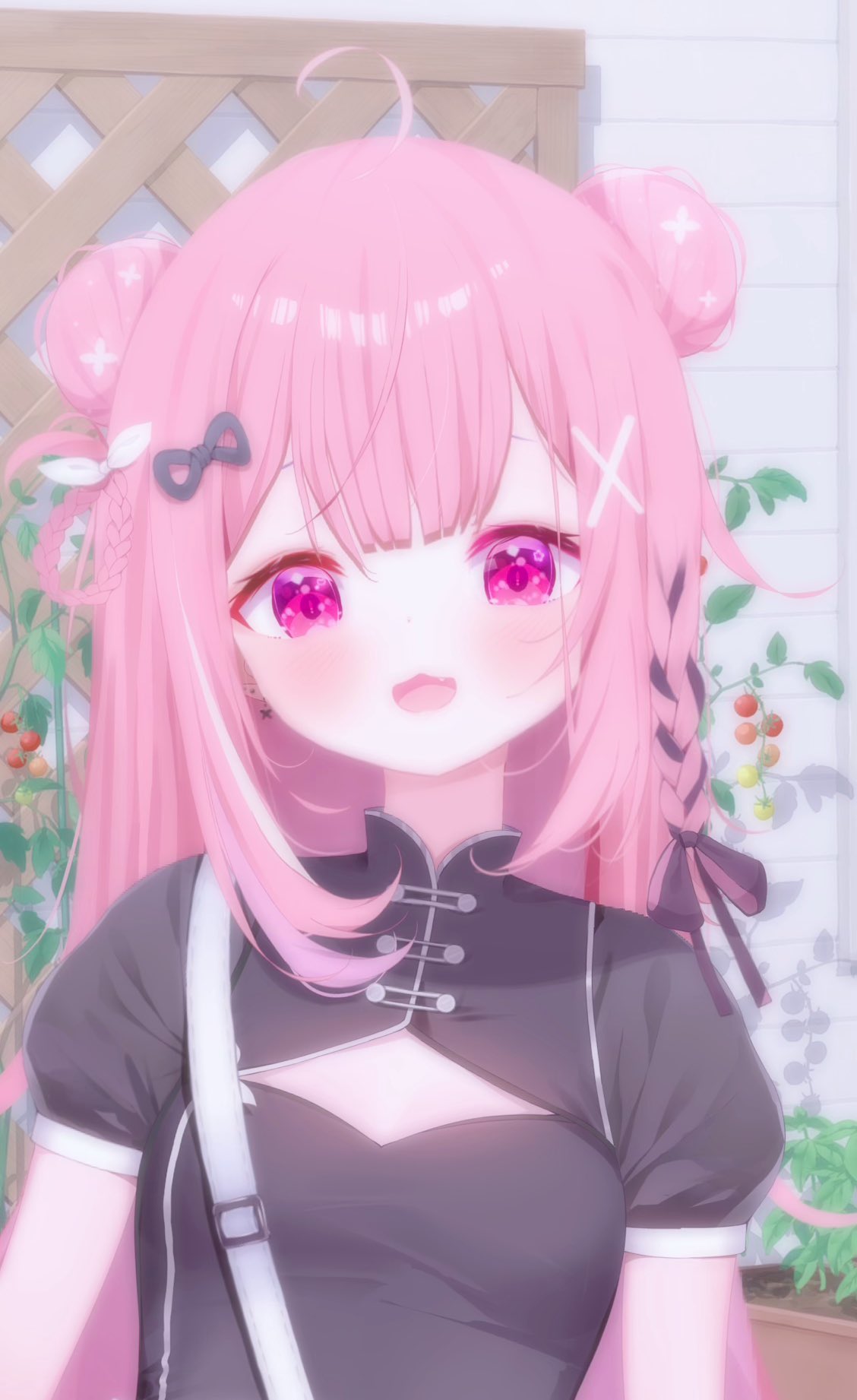 ねこたみぃ たっちぃZoo にゃんこ 三毛猫 たっちぃZOO ニャンコ みけねこ