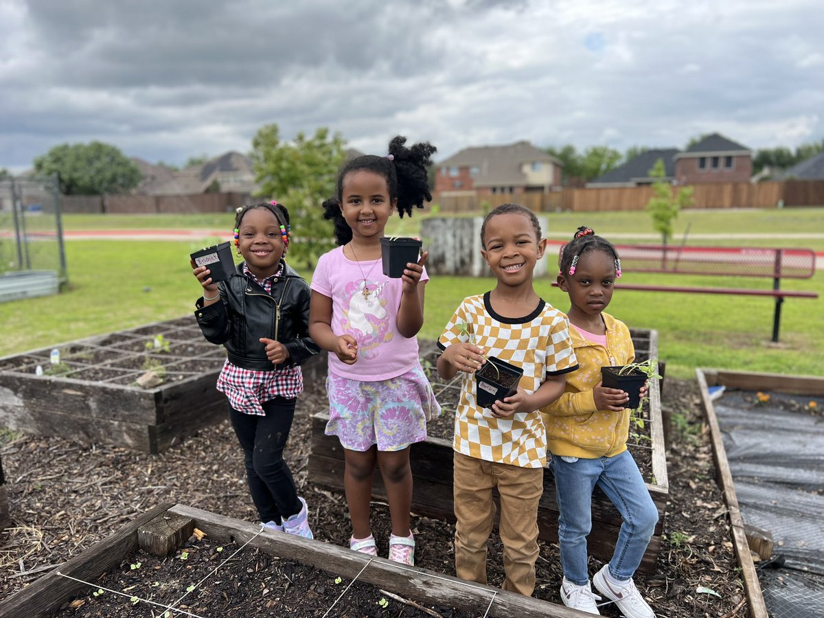 Steadham Elementary (@steadham_eagles) on Twitter photo Watching our Pre-K students plant in the garden is a beautiful reminder that growth happens in all shapes and sizes. We can learn so much from the simple act of planting a seed and nurturing it into something beautiful. 🌱🌻 <a href="/jrhobb01/">Jade Hobbs</a> <a href="/MissLataisha/">La'Taisha Stinnette</a> <a href="/blessed35/">Sonya Pierce</a> <a href="/bosworth_seth/">Seth Bosworth</a> Watching our Pre-K students plant in the garden is a beautiful reminder that growth happens in all shapes and sizes. We can learn so much from the simple act of planting a seed and nurturing it into something beautiful. 🌱🌻 <a href="/jrhobb01/">Jade Hobbs</a> <a href="/MissLataisha/">La'Taisha Stinnette</a> <a href="/blessed35/">Sonya Pierce</a> <a href="/bosworth_seth/">Seth Bosworth</a>