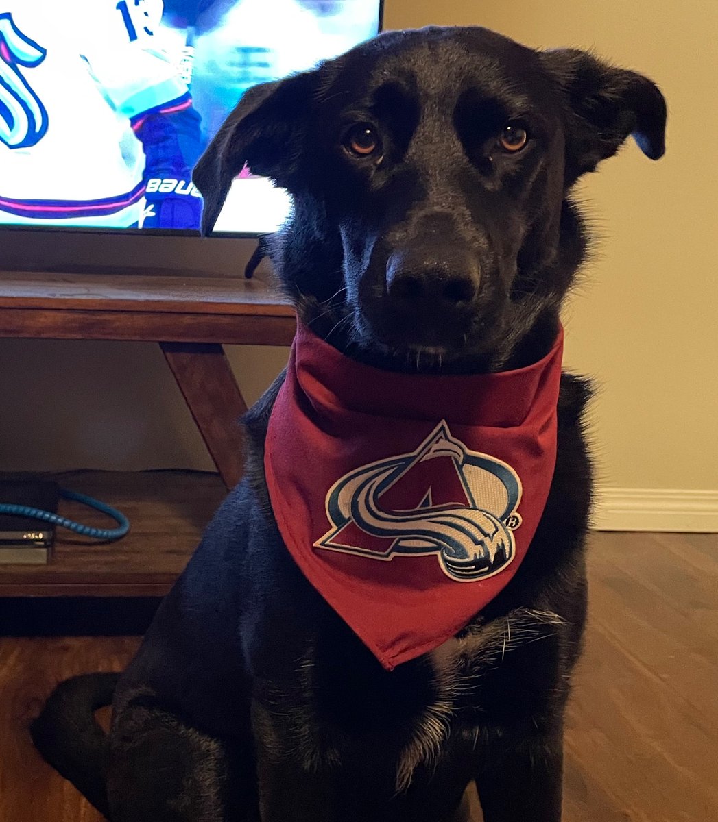 jorgey2188's tweet photo. #goavsgo https://t.co/U8fHUm56OL