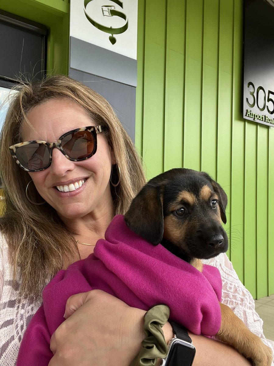 konabenellie's tweet photo. Donated 100 of our shelter blankets to comfort the pups at Greenville Humane Society in Greenville SC. Thank you for loving my creation, the #throwbee @konabenellie. As a result of your purchases, we give back to comfort shelter dogs. Your comfort becomes their comfort. πβ€οΈπΆ https://t.co/uVPlNLjppV
