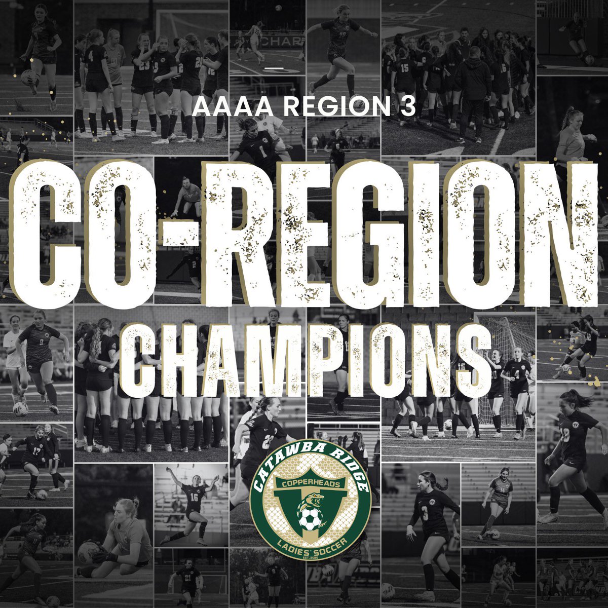 CRHS_GirlSoccer's tweet photo. With the win tonight, your Catawba Ridge Women’s Soccer Team are Region Champs!

3 out of 3 seasons!

@CoachSchmidt2 @catawba_ridge @CatawbaRidgeTV @CatawbaRidge @FortPrep https://t.co/77pFarVvL0