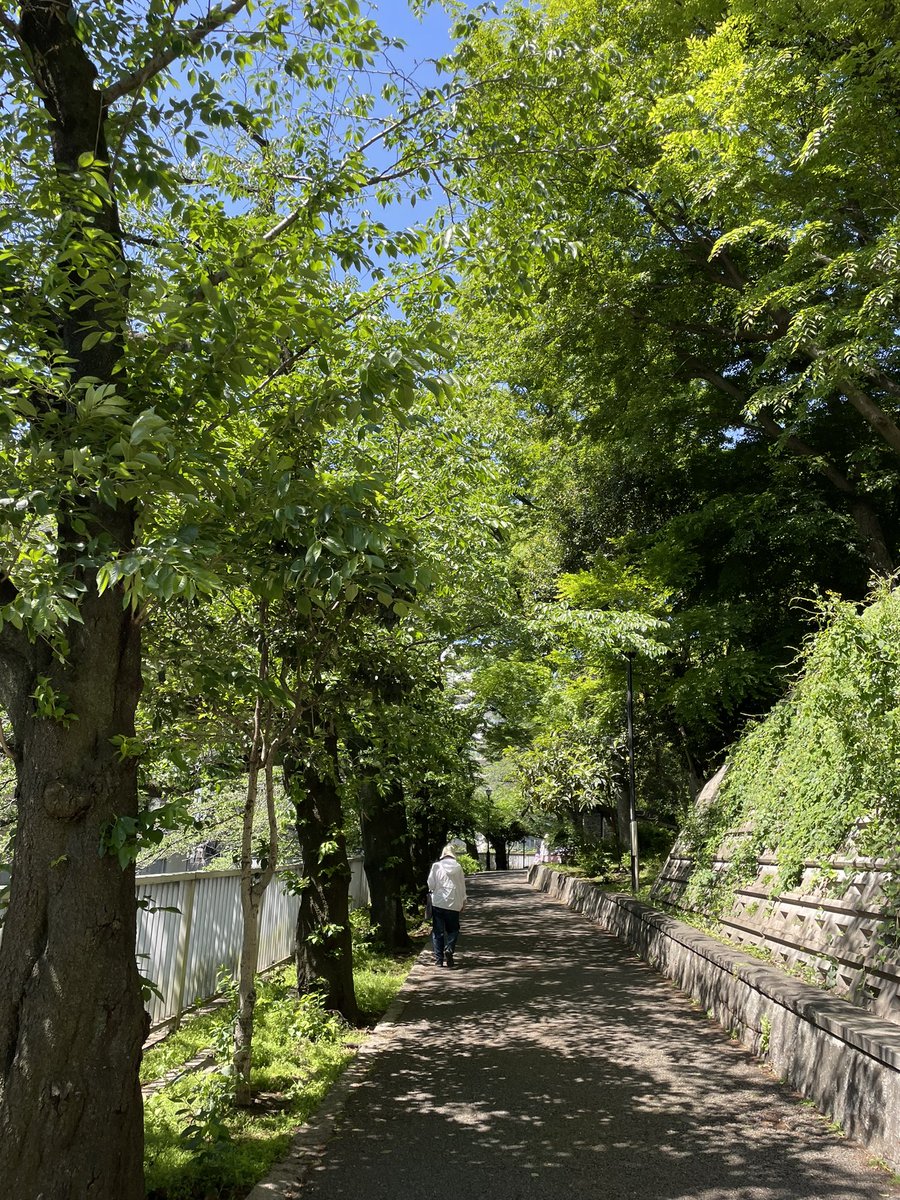 気持ちいいいいぃぃぃ！🌞
今日も感謝です！