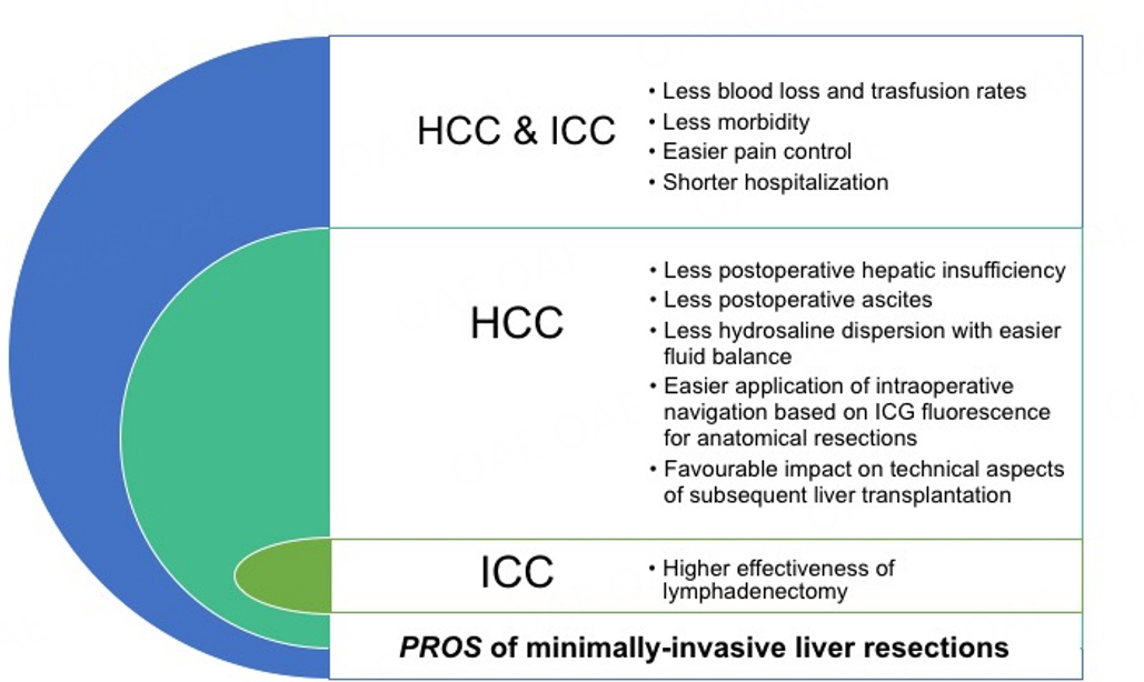 #MILR #ICC #LiverTwitter #MedEd
📖The purpose of this narrative review is to describe the relevance of MILR for the treatment of the most common primary liver tumors, namely #HCC and intrahepatic cholangiocarcinoma.

Full text🔗 hrjournal.net/article/downlo…