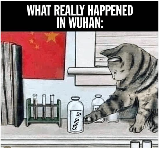 My Uncle s Meme Stash On Twitter Non zero Chance That This Is What my-uncle-s-meme-stash-on-twitter-non-zero-chance-that-this-is-what