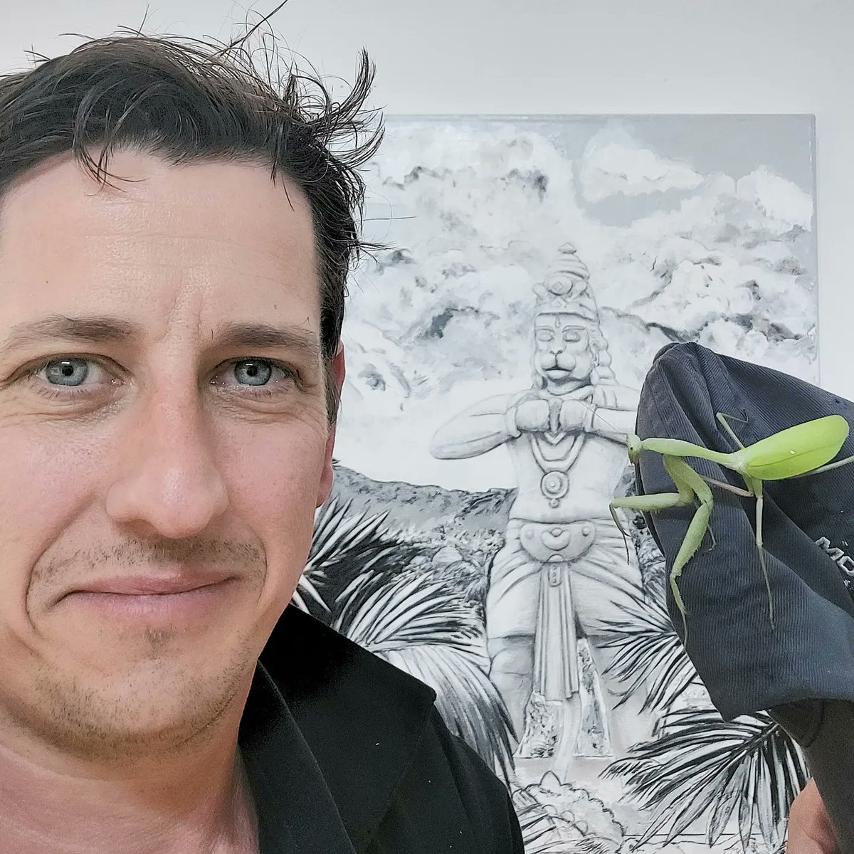 New studio pal. 
Giant Asian praying mantis.
She is massive and stares a lot.

#studiobuddy #studiomuse #artistsstudio
#artist #muse #giantasianmantis #hierodulamembranacea #prayingmantis #mantis #studiozoo #zoostudio #hugebug tomvh.com