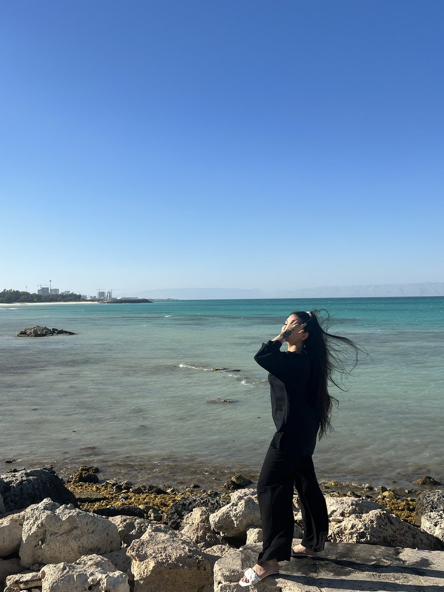 Asal Torabi tweet media