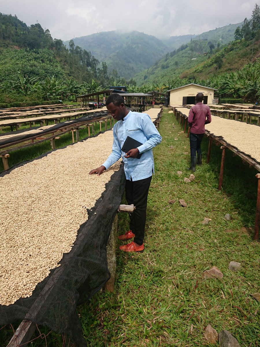 NTIHEMUKAGilbe2's tweet photo. Rwanda Coffee value chain is so amazing! It is total organic and friendly to environment! So, productive at #Vunga #Coffee #Coop my lovely farmers!
Kuribo gu @Hingamafaranga ni ihame to serve high quality produces to the consumer @NyabihuDistrict has the real nature. https://t.co/gHq4XBDOOG