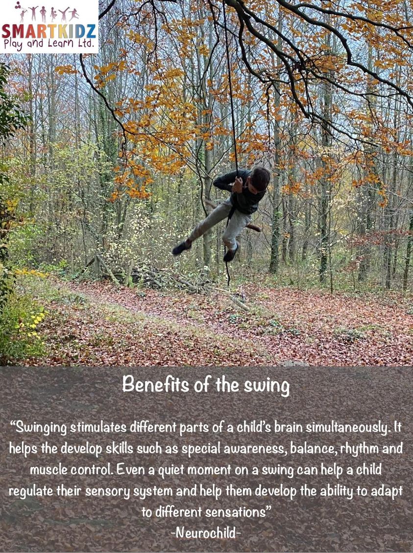 #outdoorplay #swing #smartkidz #letthemplay #riskyplay #childled #PARS #playwork