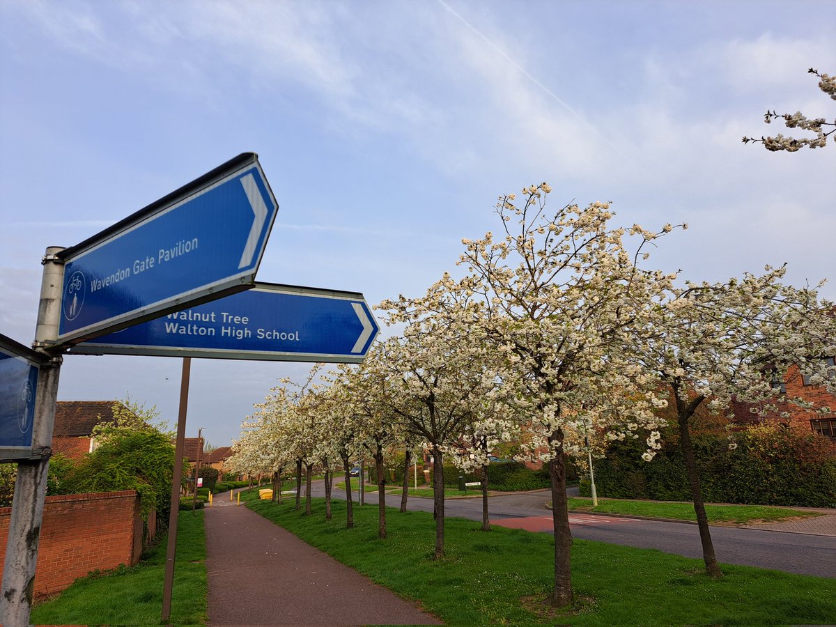 Carys Underwood tweet media