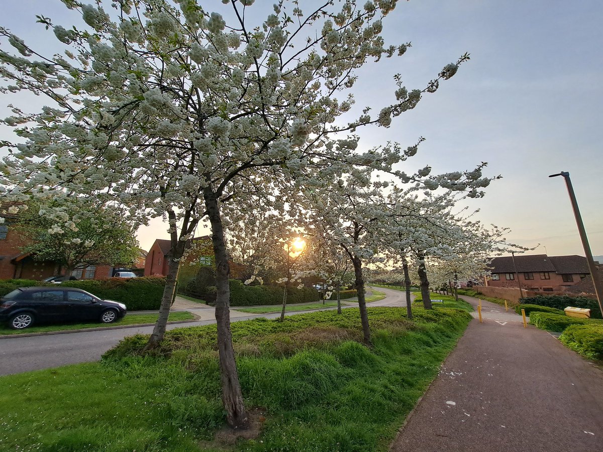 Carys Underwood tweet media