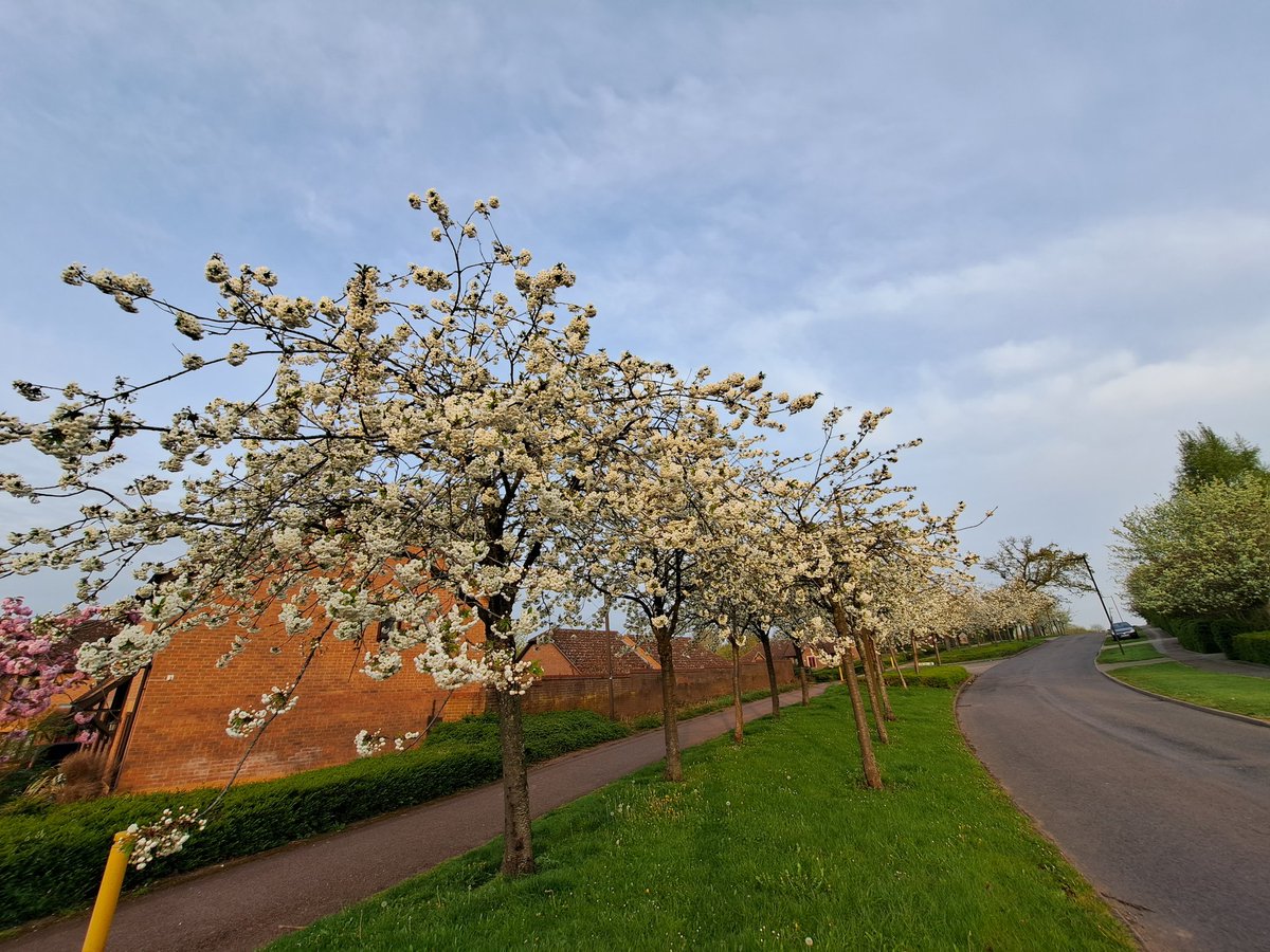 Carys Underwood tweet media