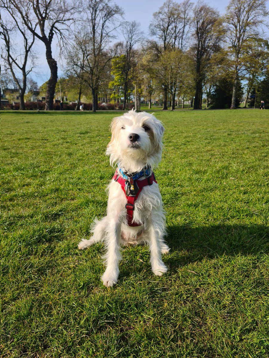 Colin McGill tweet media