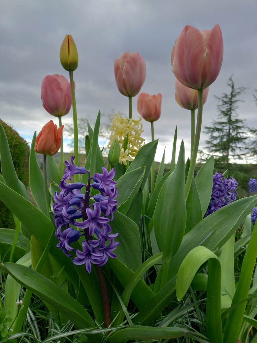 Today is my new favourite day 😁