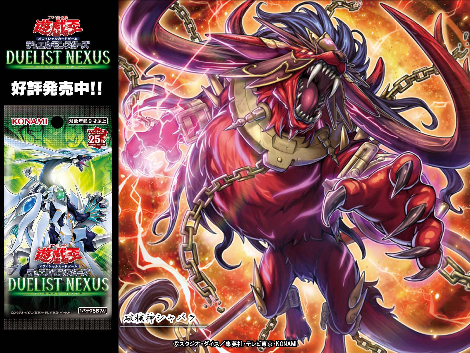 Amazon.com: Yu-Gi-Oh! Duelist Nexus Booster Box - Display