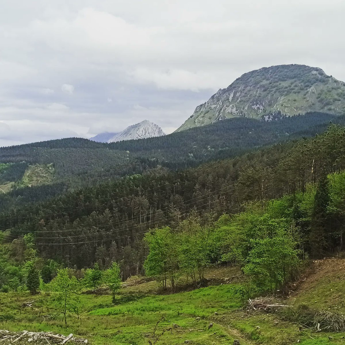 Nos encanta venir a trabajar al Norte 🌲🌲

Nuevo equipo de #ergoespirometria en la provincia de Bilbao, enhorabuena a profesionales y pacientes que dispondrán a partir de ahora de una potente herramienta para diagnóstico en cardiología, cardiología deportiva y medicina deportiva