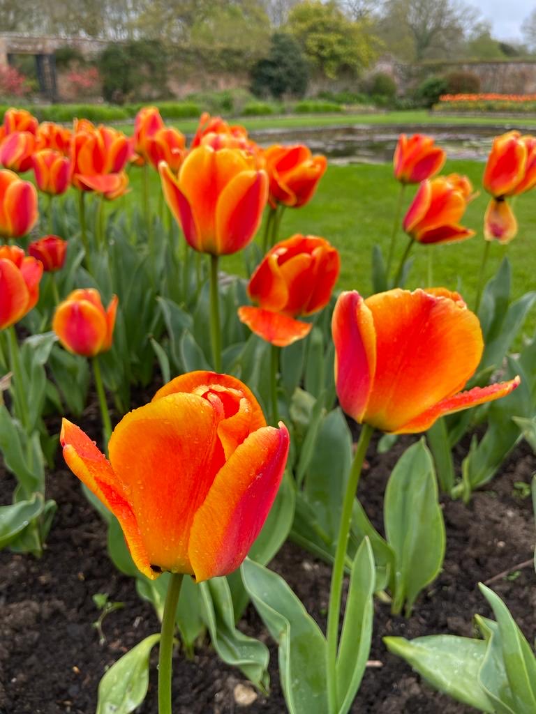 Alan Power tweet media