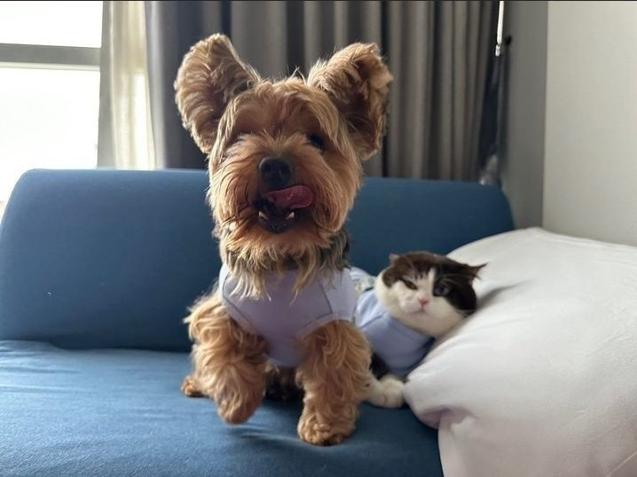 thegiant_1's tweet photo. ป๋มยักน้อลพิคนะค้าบบ😍😘🐶

#thegiant_1 https://t.co/Ru3pziP5Xm