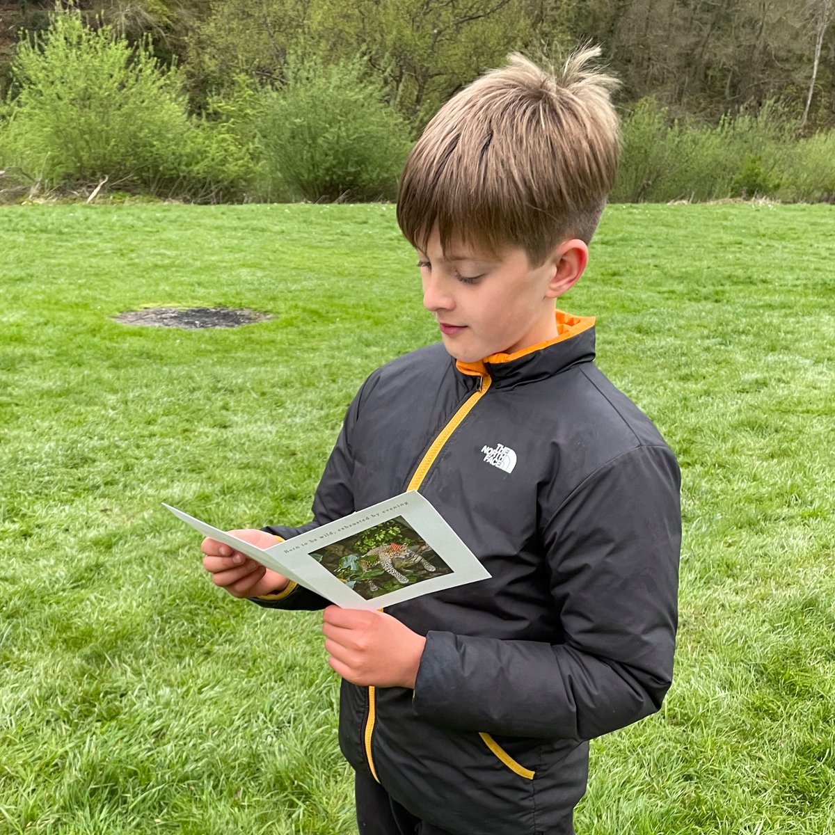 Milbourne Lodge Trips tweet media