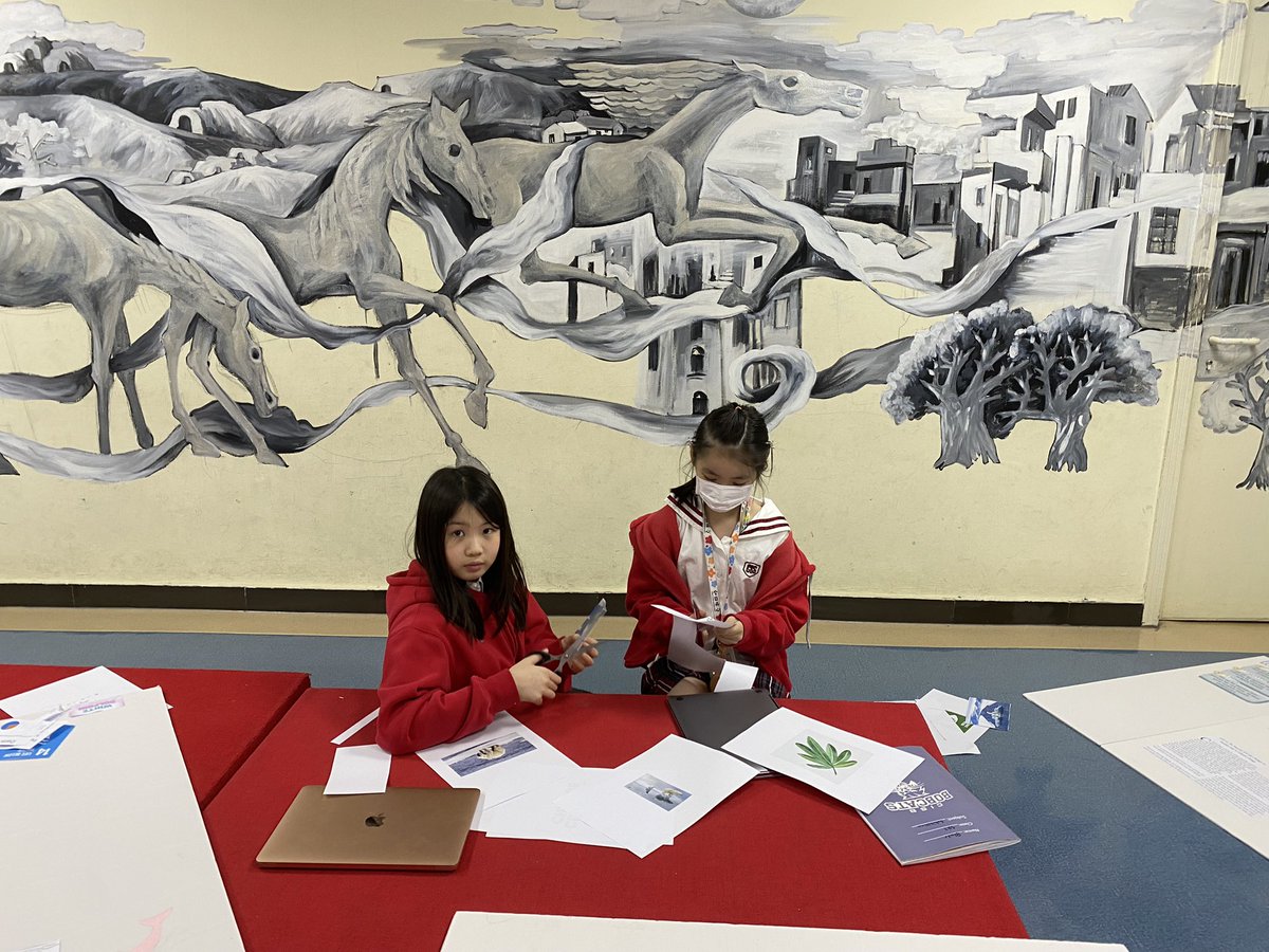 educatorrichie's tweet image. Exhibition is full steam ahead. Students are working extremely hard to get things done before week without walls. #PYPx