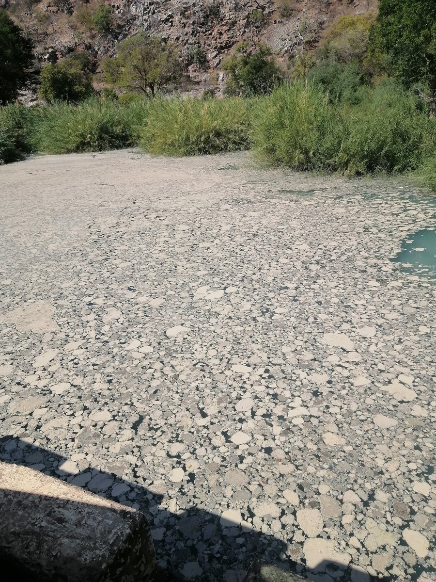 PacheduZW's tweet photo. China is destroying Zimbabwe.

Deka River in Hwange is being heavily polluted by Chinese coal miners.

The water is now highly acidic and undrinkable.

Fish have died while cattle and goats are also dying and suffering miscarriages.

EMA is not doing anything.

@ChineseZimbabwe https://t.co/ZJe8kR6Fo2