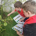 Photo by St Patrick’s BNS (@stpatricksbns)