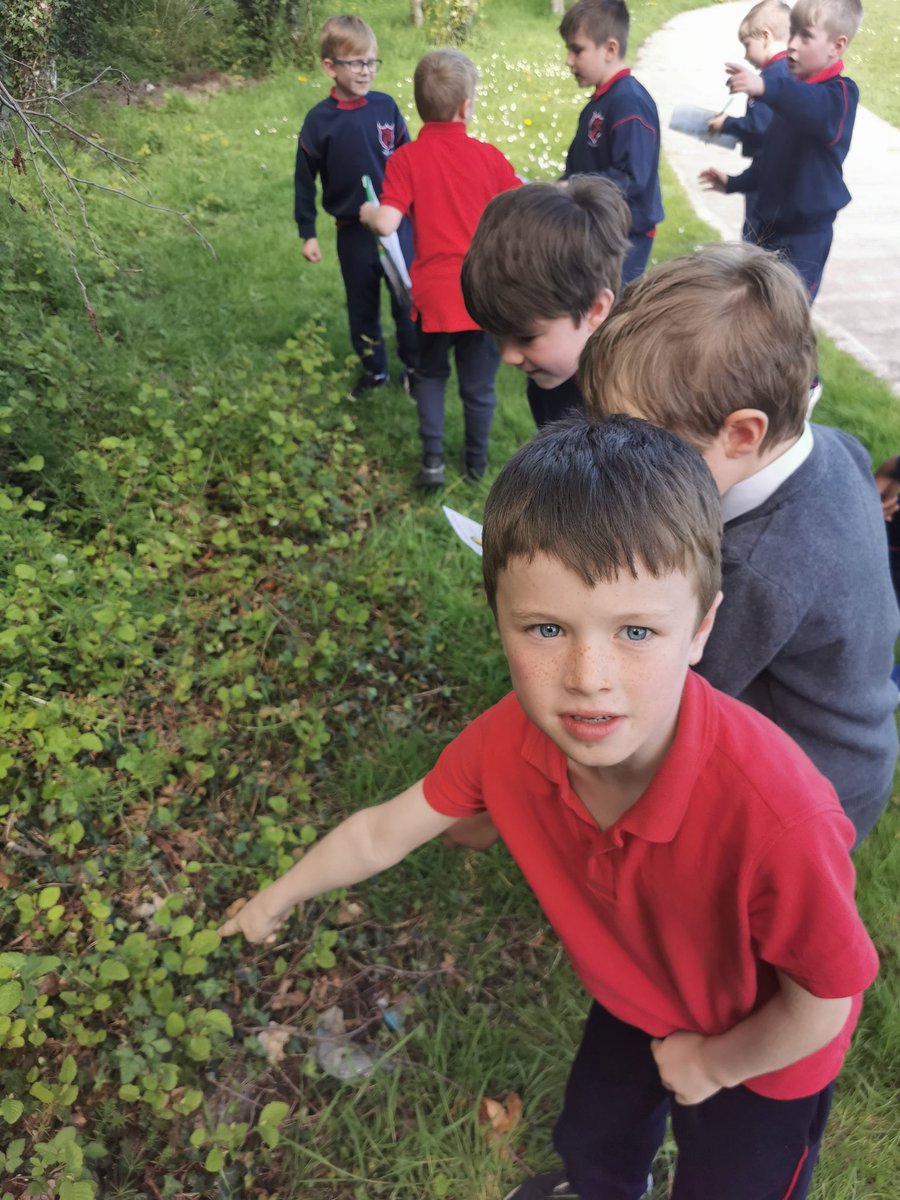 St Patrick’s BNS tweet media