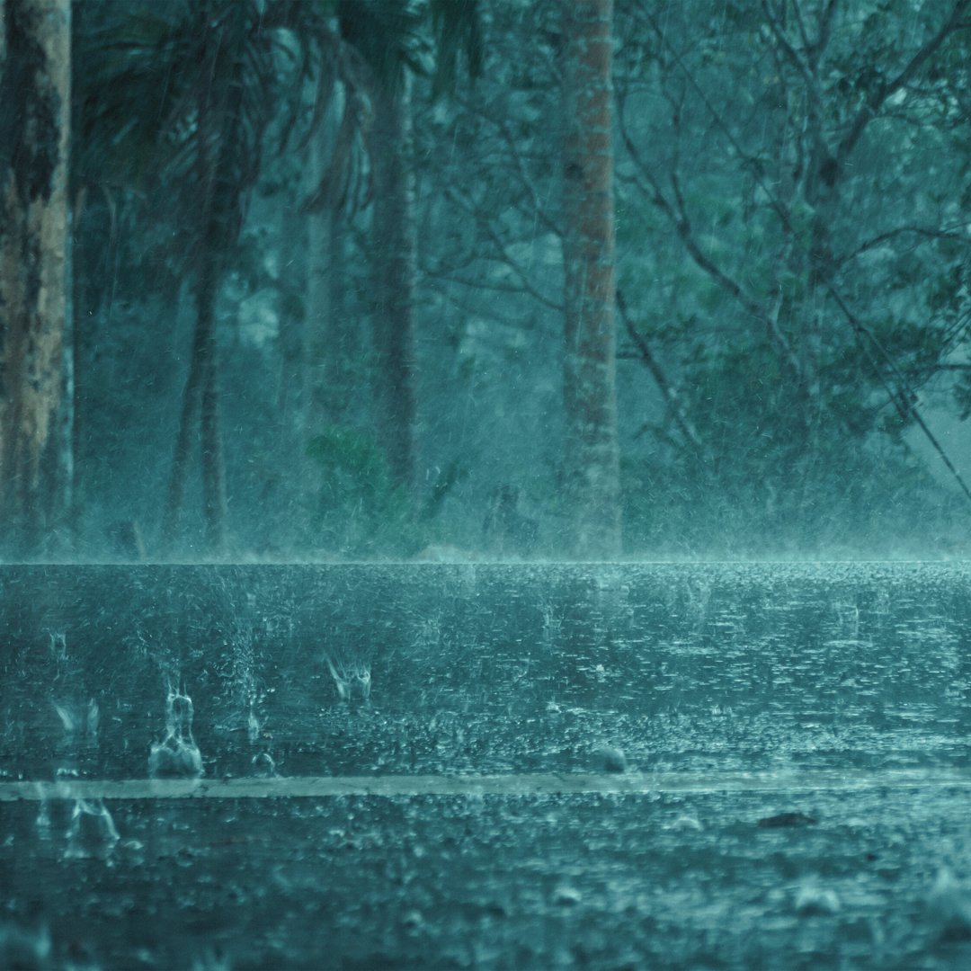 sleepcalming's tweet photo. Imagine 🌧️ washing away worries &amp; ⚡ overpowering negativity. 🧘 Let this lead to a state of serenity &amp; peace. #Tranquility #CocoonOfComfort https://t.co/xUqtkUQeEr