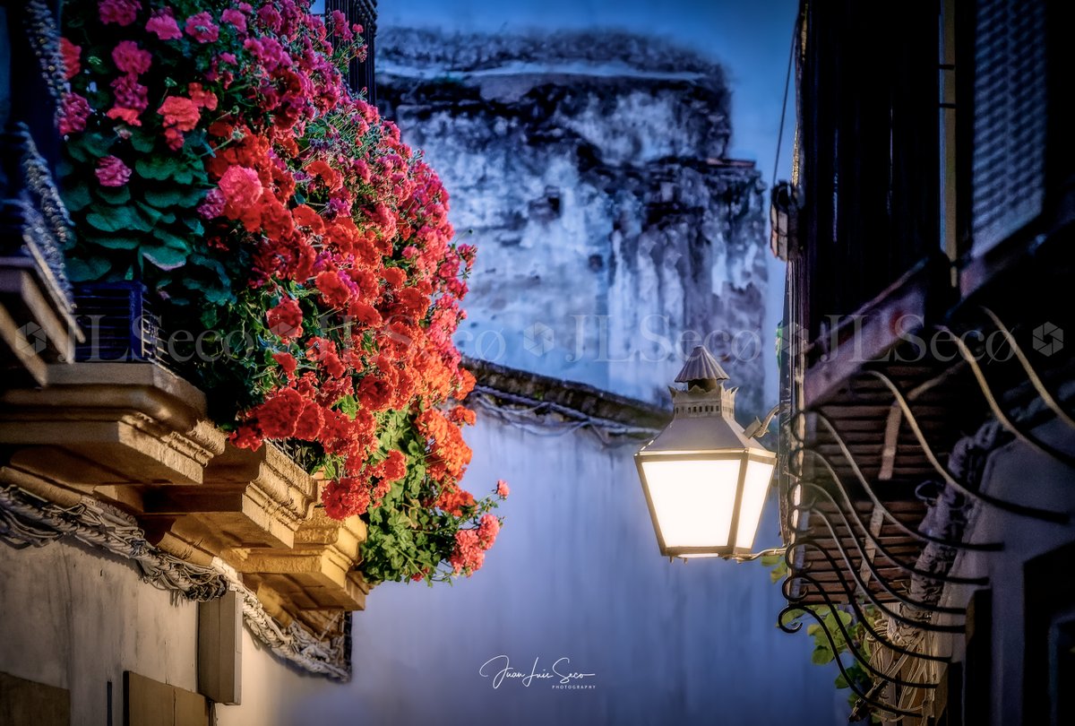 JLuisSeco's tweet photo. Balcones que guardan secretos, rejas que muestran belleza... Rejas y Balcones de Córdoba 2023.
@Cordoba_spain @CordobaESP @MencantaCordoba @VerCordoba @TurismoAndaluz @viveandalucia https://t.co/2aLZcUPNwE