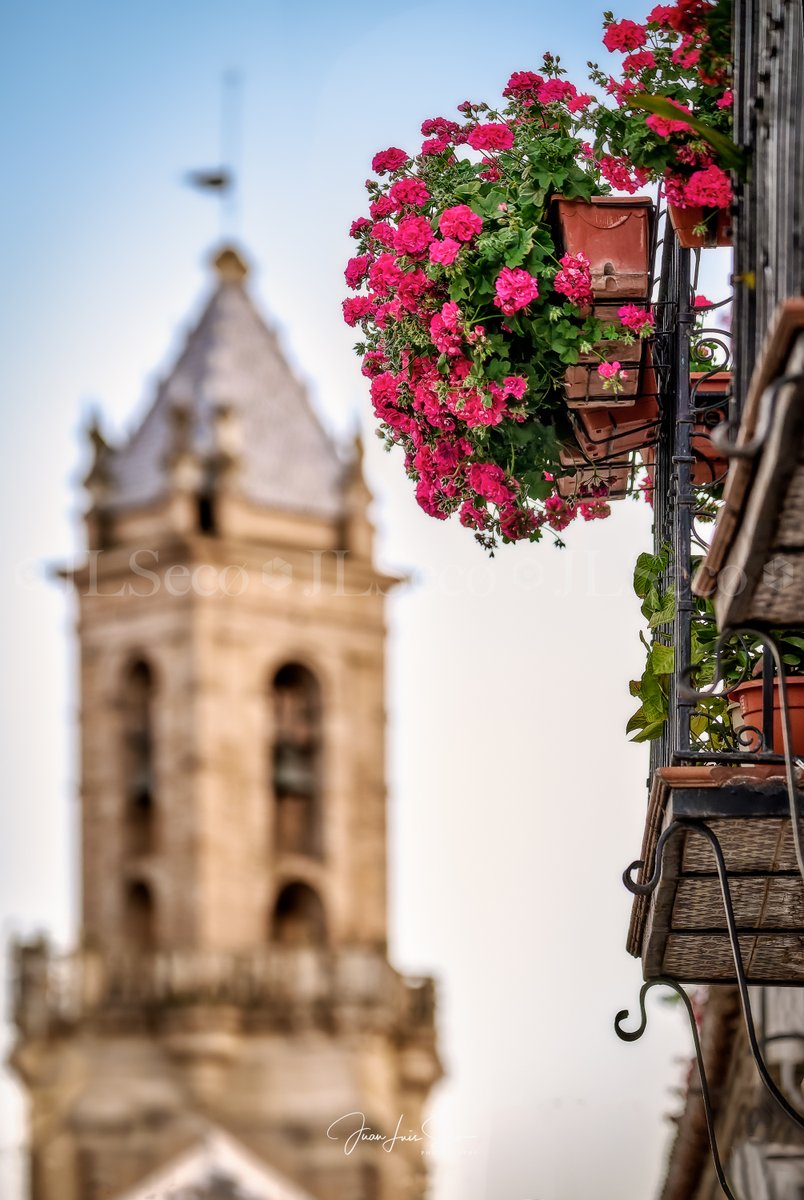 JLuisSeco's tweet photo. Balcones que guardan secretos, rejas que muestran belleza... Rejas y Balcones de Córdoba 2023.
@Cordoba_spain @CordobaESP @MencantaCordoba @VerCordoba @TurismoAndaluz @viveandalucia https://t.co/2aLZcUPNwE