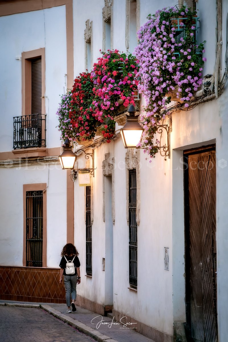 JLuisSeco's tweet photo. Balcones que guardan secretos, rejas que muestran belleza... Rejas y Balcones de Córdoba 2023.
@Cordoba_spain @CordobaESP @MencantaCordoba @VerCordoba @TurismoAndaluz @viveandalucia https://t.co/2aLZcUPNwE