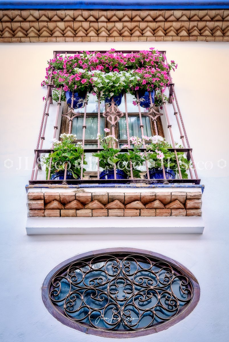 JLuisSeco's tweet photo. Balcones que guardan secretos, rejas que muestran belleza... Rejas y Balcones de Córdoba 2023.
@Cordoba_spain @CordobaESP @MencantaCordoba @VerCordoba @TurismoAndaluz @viveandalucia https://t.co/2aLZcUPNwE