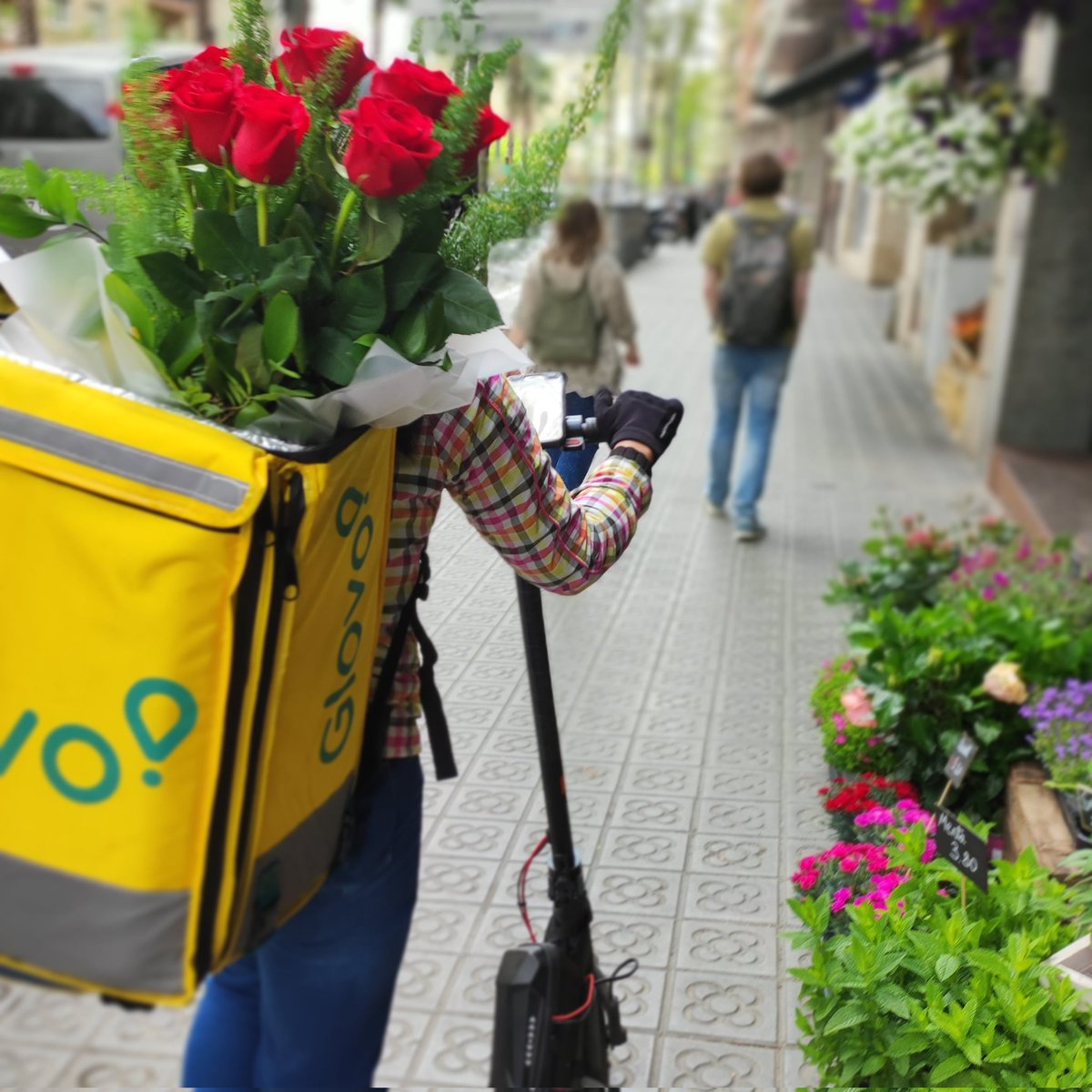 Barna_Flor's tweet photo. Vols entregar #flors o #plantes a #Barcelona? A la nostra pagina web trobaràs tot el que busques.
https://t.co/HeSEf2u08d

Ara tambe ens pots trobar a través de la app de Glovo de #delivery .
@glovo @Glovo_ES #floristeria #flors #flores https://t.co/1rK79RFLA3