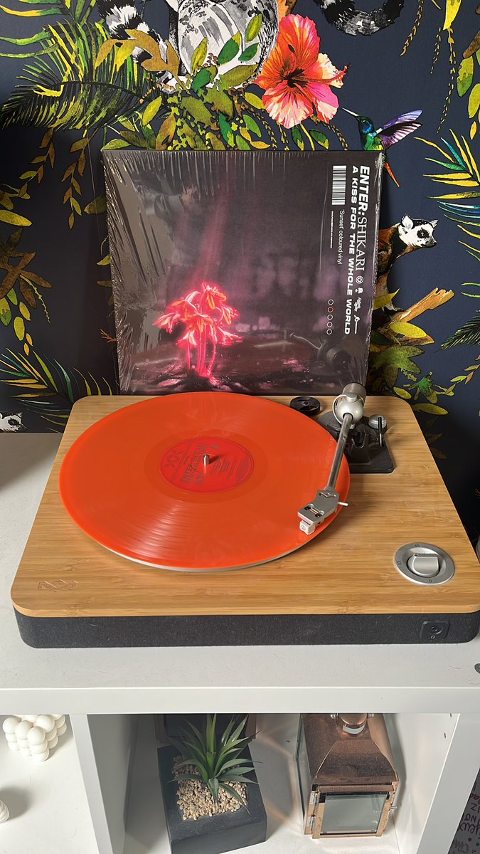 Rick Knights tweet media