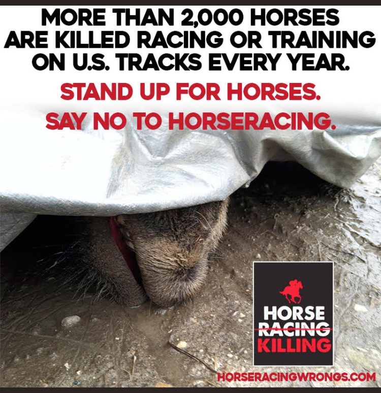 Horseracing is #AnimalCruelty
Horseracing is #AnimalAbuse
Horseracing is:
*Abusing unformed bodies
*Extreme, relentless confinement
*Whipping
*Drugging
*Buying &amp; selling
*Trading and dumping
*Pain &amp; suffering
*Maiming &amp; destroying
Take The Pledge Today:
bit.ly/426c4mV