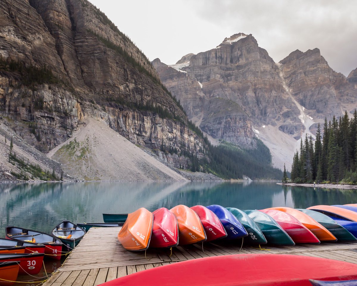The #CMRoachPhotos shop will close at 11:59pm on May 31, 2023. Now’s the time to get your last purchases in - prices on the shop reduced by around 25% to say thanks!

Want to browse the pictures for sale: 
cmroachphotography.ca/buypictures