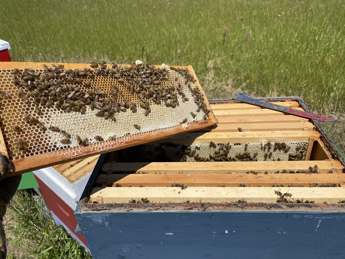 Roger Jackson tweet media