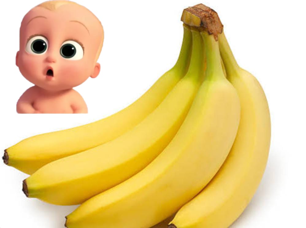DrKavithadev's tweet photo. #Banana is it good for all?
- is heavy to #digest
- cold in potency
- decreases #vatha & #pittha but
increases #kapha
So #banana is not good for
- during #cold, #cough, #asthma
Low #digestivefire
#kapha dominant dosha
#drkavithadev
#ayurvedadaily
#ayurtips https://t.co/NuqJXWLNaM