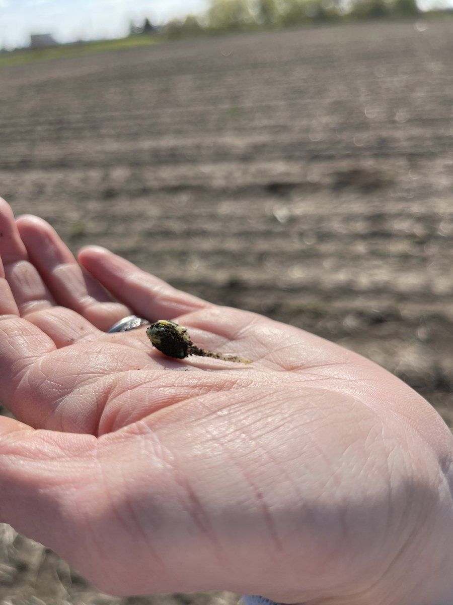 Mary Pat Sass tweet media